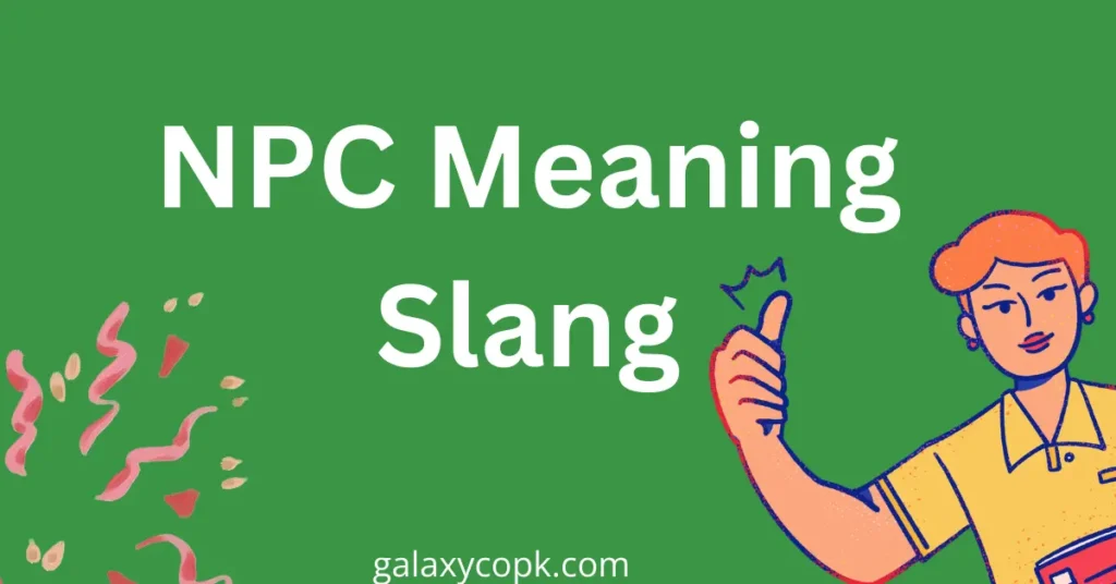 NPC Meaning Slang