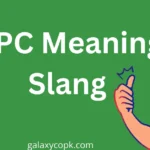 NPC Meaning Slang