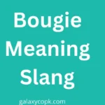 Bougie Meaning Slang