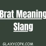 Brat Meaning Slang