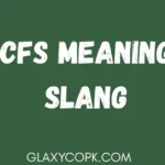 cfs-meaning-slang