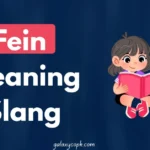Fein Meaning Slang