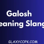 Galosh Meaning Slang