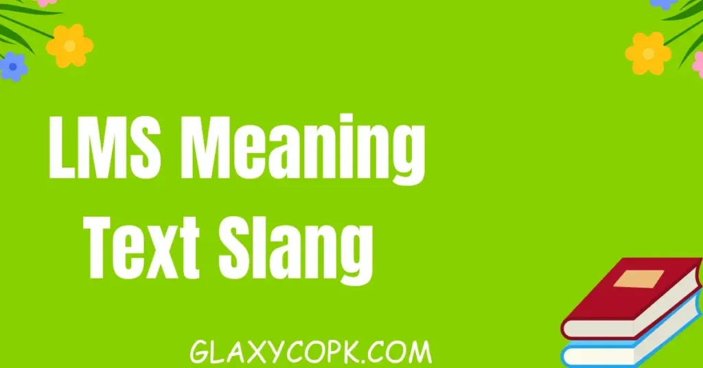 lms meaning text slang