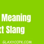 lms meaning text slang