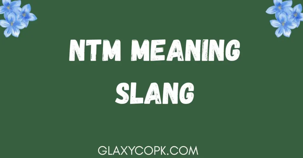 ntm-meaning-slang