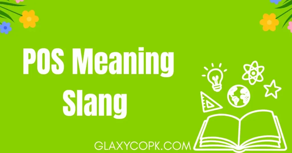 pos-meaning-slang