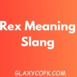 Rex Meaning Slang