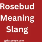 Rosebud Meaning Slang