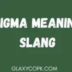 sigma-meaning-slang