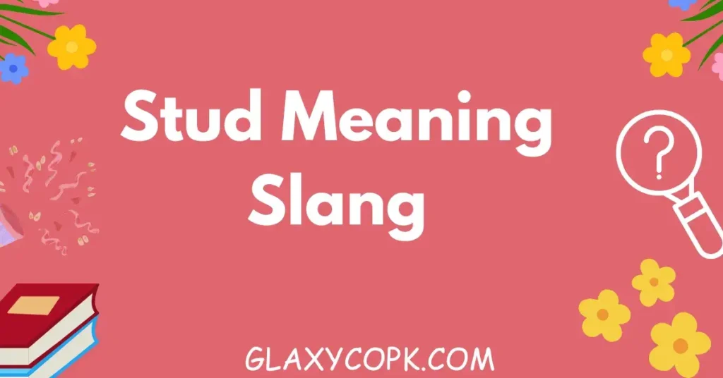 Stud Meaning Slang