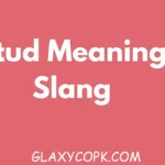 Stud Meaning Slang