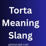 Torta Meaning Slang