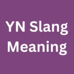 YN Slang Meaning: What It Really Means Online (Complete Guide)