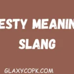Zesty Meaning Slang