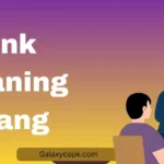 bunk meaning slang