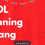 DL Meaning Slang