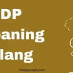 DP Meaning Slang