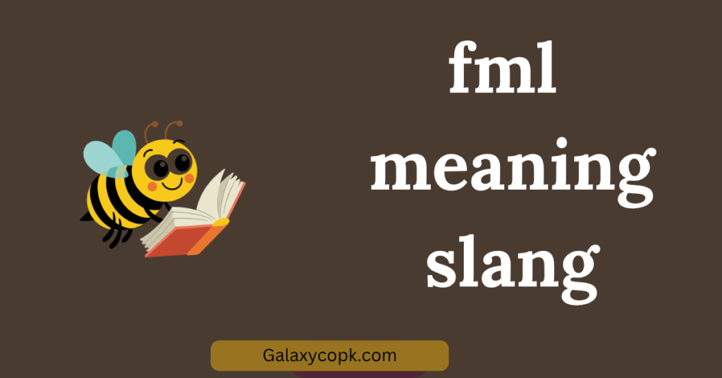 fml meaning slang