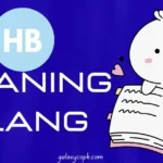HB Meaning Slang