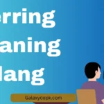 Herring Meaning Slang