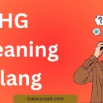 HG Meaning Slang