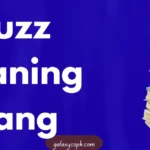 Huzz Meaning Slang