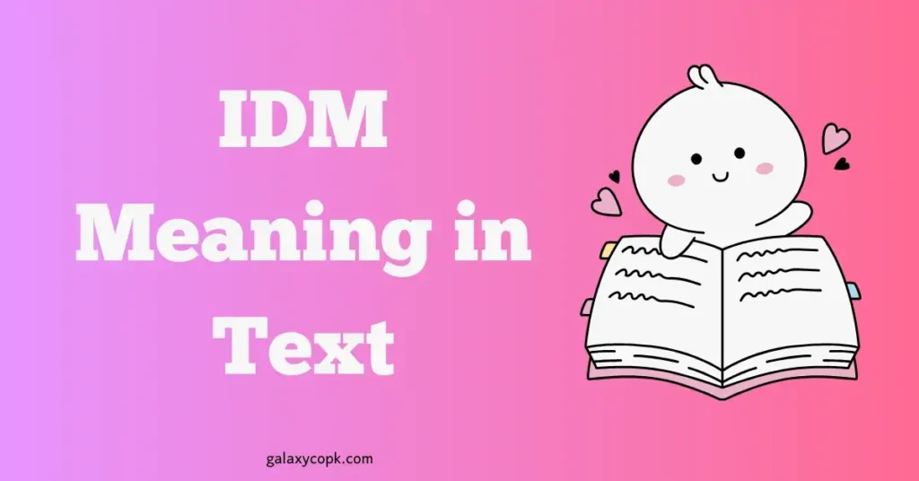 idm meaning in text