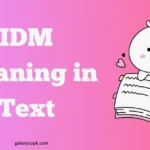 idm meaning in text