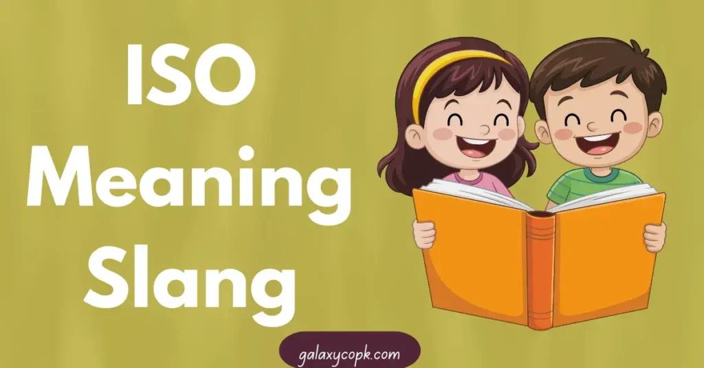 ISO Meaning Slang