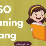 ISO Meaning Slang