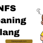 NFS Meaning Slang
