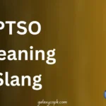 PTSO Meaning Slang