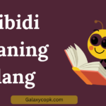 skibidi meaning slang