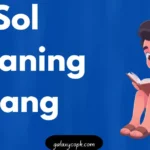 Sol Meaning Slang