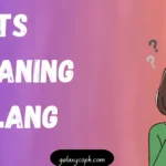 TS Meaning Slang