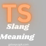 TS Slang Meaning