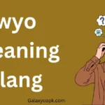 WYO Meaning Slang