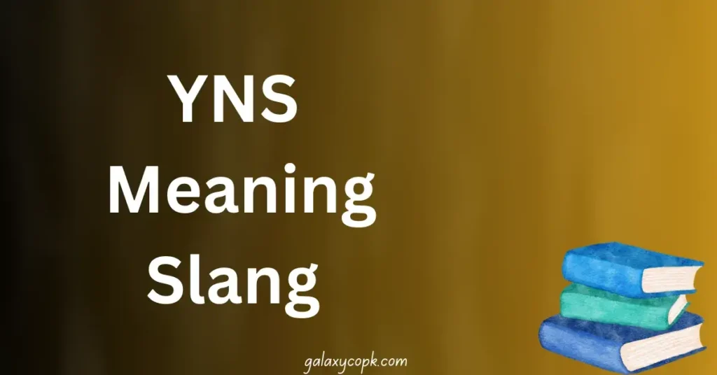 YNS Meaning Slang