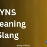 YNS Meaning Slang