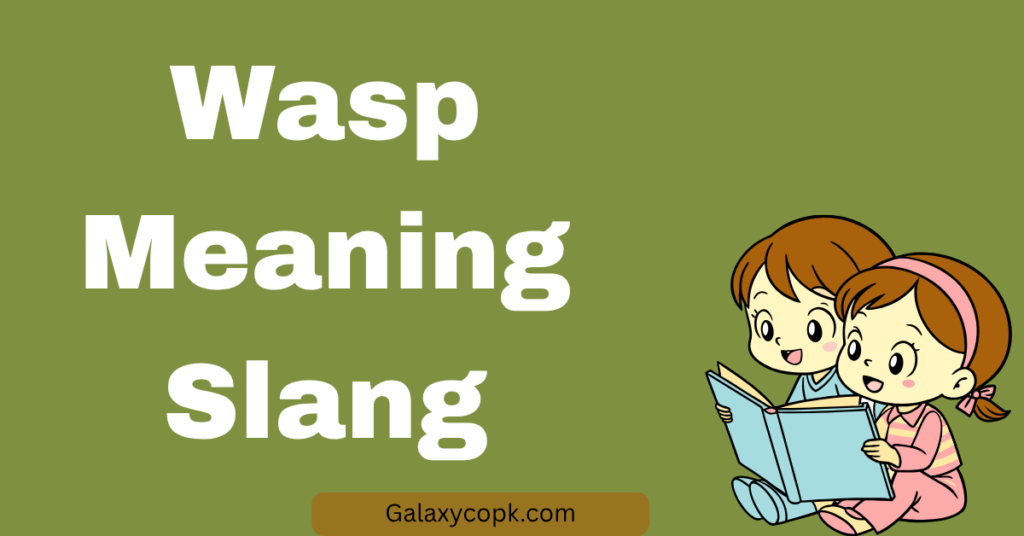 Wasp Meaning Slang