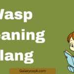 Wasp Meaning Slang