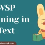 WSP Meaning in Text