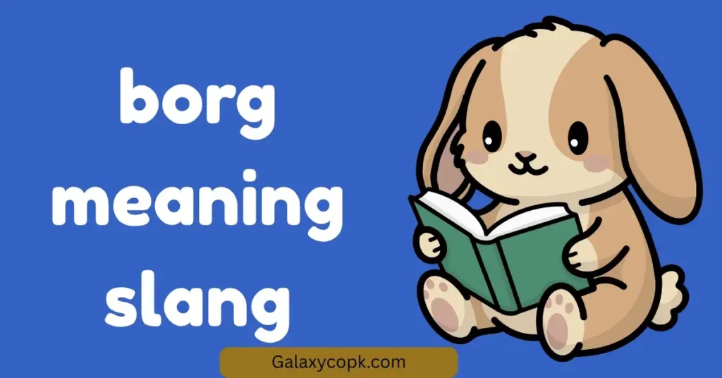 Borg Meaning Slang