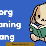 Borg Meaning Slang