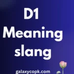 d1 meaning slang