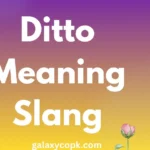 Ditto Meaning Slang