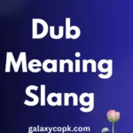 dub meaning slang