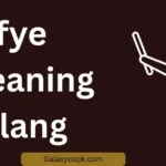 FYE Meaning Slang