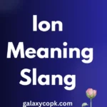 ion meaning slang